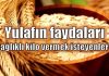 Yulafın faydaları neler? Neden yulaf yemeliyiz? sağlıklı kilo vermek zayıflamak