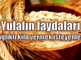 Yulafın faydaları neler? Neden yulaf yemeliyiz? sağlıklı kilo vermek zayıflamak