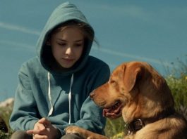 Kuyruklu Hikayeler: Beyaz perdeye yansıyan köpek hikayeleri