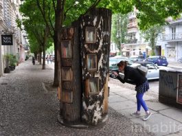 Ağaç kütüphane: Berlin'de bir kitap okuma hareketi