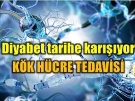 Diyabet tedavisinde devrim: Kök hücre yöntemi