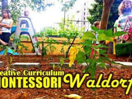 Okul öncesi: Creative Curriculum, Montessori ve Waldorf cansın selçuk