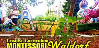 Okul öncesi: Creative Curriculum, Montessori ve Waldorf cansın selçuk