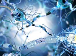 Türk Epilepsi İle Savaş Derneği: "Epilepsi için bak" dedi