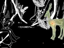 Dünya Kadınlar Günü'ne özel bir seçki: Kısa Animasyon programı!