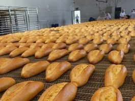 GDO’lu ekmek hakkında soruşturma: GDO Nedir?