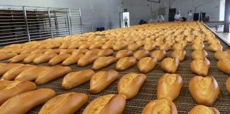 GDO’lu ekmek hakkında soruşturma: GDO Nedir?