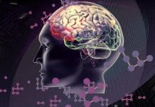 Beyin ile bilgisayar arasındaki en önemli fark nedir?