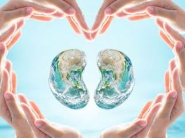 Böbrek hastalığının altında yatan en önemli nedenler neler?