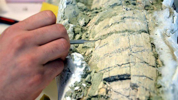 Dünyanın en eski timsah yumurtaları bulundu