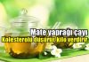 Mate yaprağı çayı faydaları neler? Nasıl kullanılır? Mate Yaprağı faydaları neler? Nasıl kullanılır?