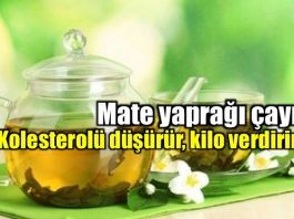 Mate Yaprağı faydaları neler? Nasıl kullanılır?