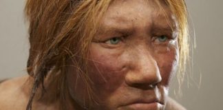 Neanderthal'lerle ilgili bulgular şaşırtmaya devam ediyor