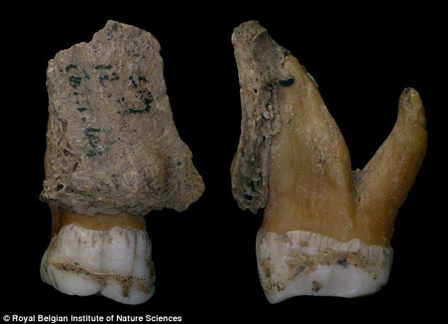 Neanderthal'lerle ilgili bulgular şaşırtmaya devam ediyor