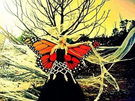 Örümcek ağında bir kelebek: Kadın