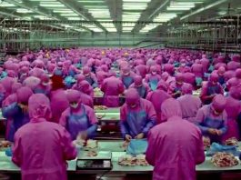 Popüler kültür ile gelen tüketim çılgınlığı