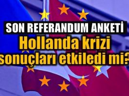 Referandum anketi: Hollanda krizi sonuçları etkiledi mi?