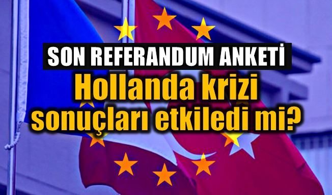 Referandum anketi: Hollanda krizi sonuçları etkiledi mi?