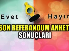 Son referandum anketi ve kamuoyu araştırması sonuçları