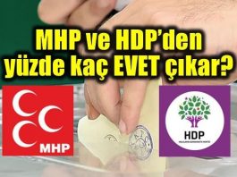 Referandumda MHP ve HDP'nin yüzde kaçı evet diyecek?