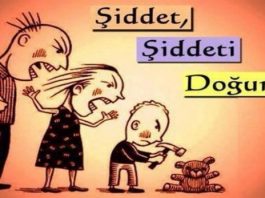 Toplumsal cinsiyet ve kadın algısı araştırması