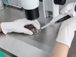 Tüp bebek tedavisinde 3 santimlik saçtan hamilelik tahmini!