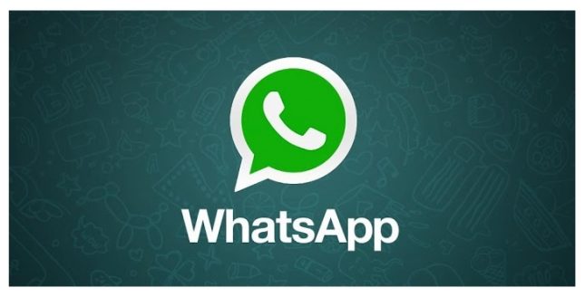 WhatsApp Durum değişmişti, şimdi WhatsApp Info geliyor