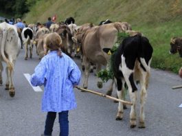 Zihin Dolabındaki inek Balka ve küçük kız