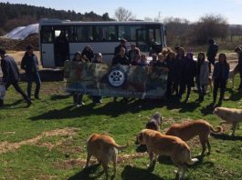 Marmara Üniversitesi Hayvanları Koruma Kulübü (MÜHAK) 2015 yılında on öğrencinin katılımıyla faaliyete geçmişti, şu an ise kalabalık bir aile.