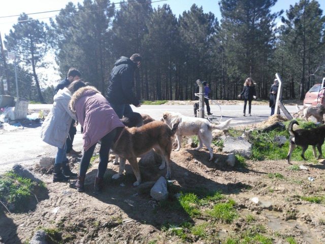 Marmara Üniversitesi Hayvanları Koruma Kulübü (MÜHAK) 2015 yılında on öğrencinin katılımıyla faaliyete geçmişti, şu an ise kalabalık bir aile.