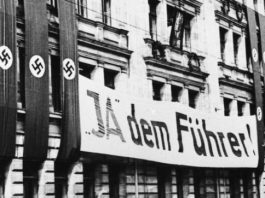 1938 Almanya referandumu, faşizm ve halk üzerine