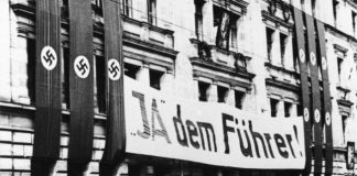 1938 Almanya referandumu, faşizm ve halk üzerine