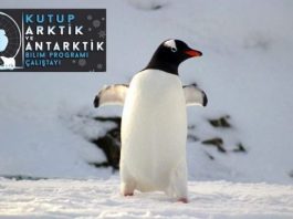 Antarktika'ya yönelik Ulusal Bilim Programı İTÜ'de devam ediyor