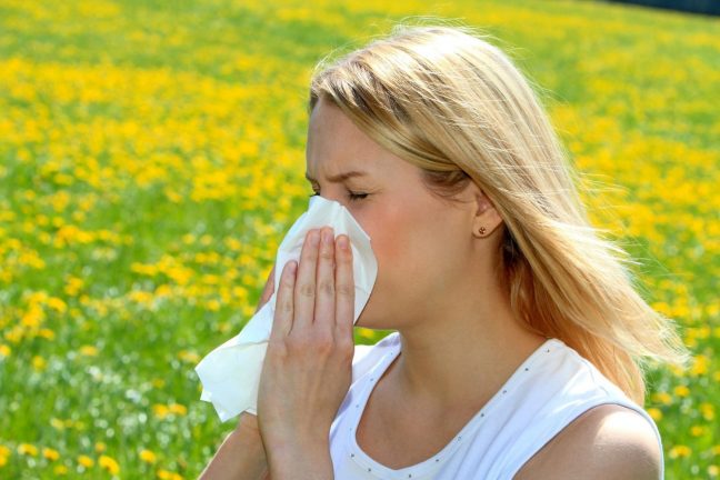 Çapraz alerji nedir? Alerji mi, soğuk algınlığı mı?