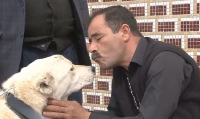 Kırıkkale'de Mehmet Köksal adındaki hayvan sever, Dünya Sokak Hayvanları Günü'ne damgasını vurdu. Engelli sokak köpeğine yürüteç yaptı.