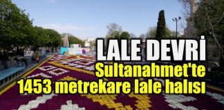 Lale Devri: Sultanahmet'te 1453 metrekare lale halısı