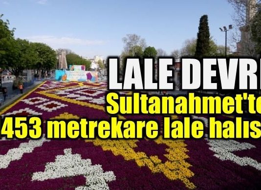 Lale Devri: Sultanahmet'te 1453 metrekare lale halısı