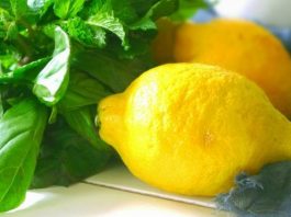 Nane ile limon olmak (1)