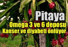 Pitaya ejder meyvesi nedir? 6 mucizevi faydası ne? Pitaya ejder meyvesi nedir? 6 mucizevi faydası ne?