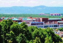 Sakarya Üniversitesi Doğa ve Hayvan Hakları Topluluğu sakarya üniversitesi kampüsü