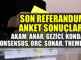 Son referandum anket sonuçları açıklandı