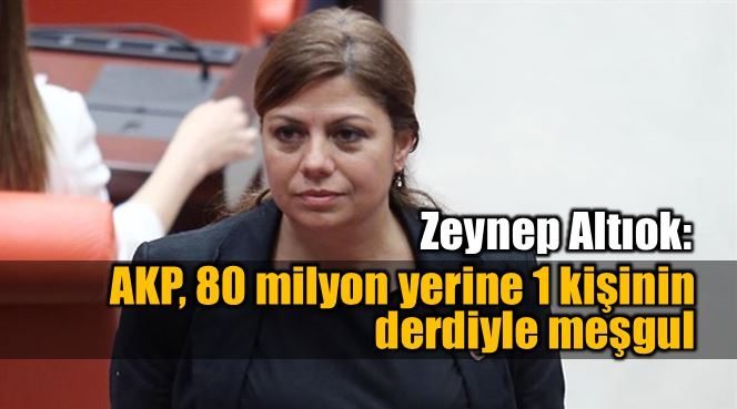 Zeynep Altıok: AKP 80 milyon yerine 1 kişinin derdiyle meşgul