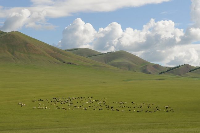 Moğolistan Yaz tatilinde vizesiz gidebileceğiniz destinasyon önerileri
