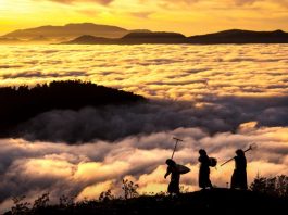 "Epilepsiye Objektif Ol" fotoğraf yarışmasında ödüller sahiplerini buldu!