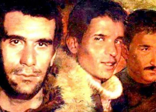 Baba bana Deniz'i anlatsana deniz gezmiş üç fidan