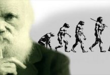 Evrim Kongresi: Bir Müslümanın doğrunun peşinde olması lazım Evrim Kongresi: "Bir Müslümanın doğrunun peşinde olması lazım"