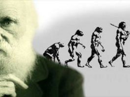 Evrim Kongresi: "Bir Müslümanın doğrunun peşinde olması lazım"