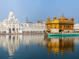 Hindistan: Küresel ekonomiye pozitif enerji