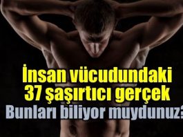 İnsan vücudu hakkında şaşırtıcı gerçekler