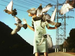 Ornitofobi nedir? Ornitofobi'den kurtulmak nasıl mümkün olur?